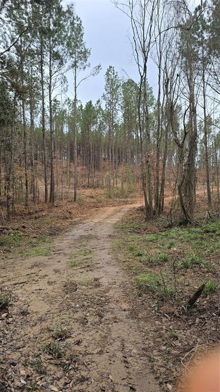 TBD Cr 1150, Woodville, Texas image 10