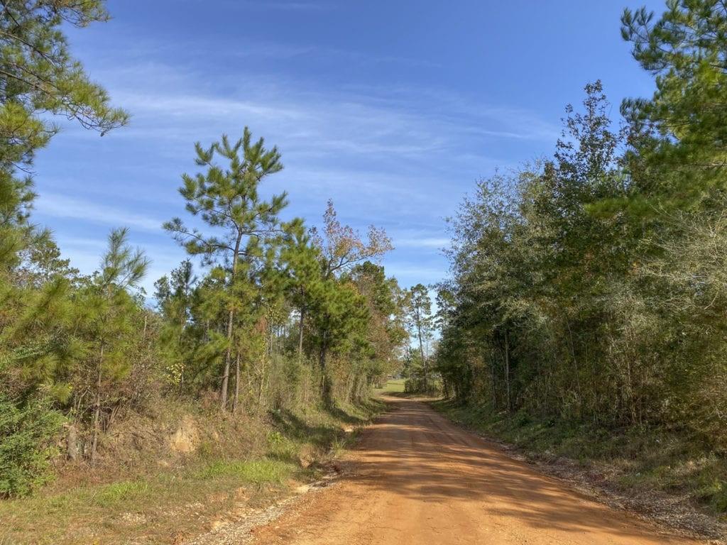 TBD Cr 1150, Woodville, Texas image 13