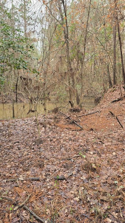 TBD Cr 1150, Woodville, Texas image 11