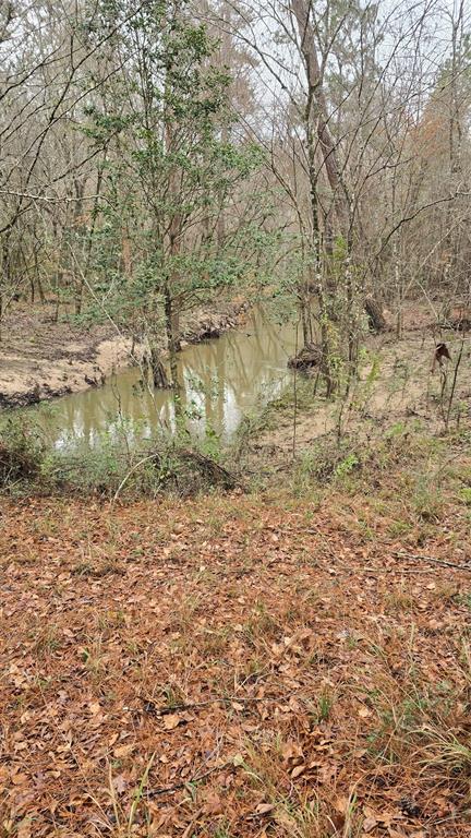 TBD Cr 1150, Woodville, Texas image 14