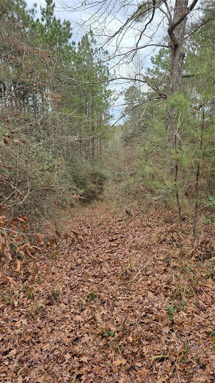 TBD Cr 1150, Woodville, Texas image 31