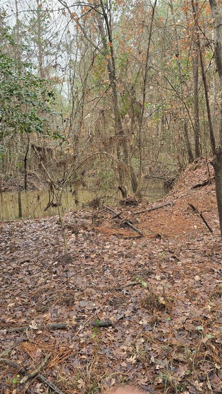 TBD Cr 1150, Woodville, Texas image 19