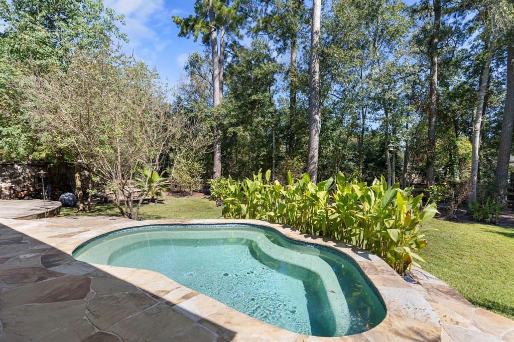 32610 Riverwood Drive, Magnolia, Texas image 32