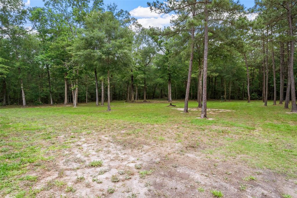 3716 Chisolm Court, Cleveland, Texas image 28