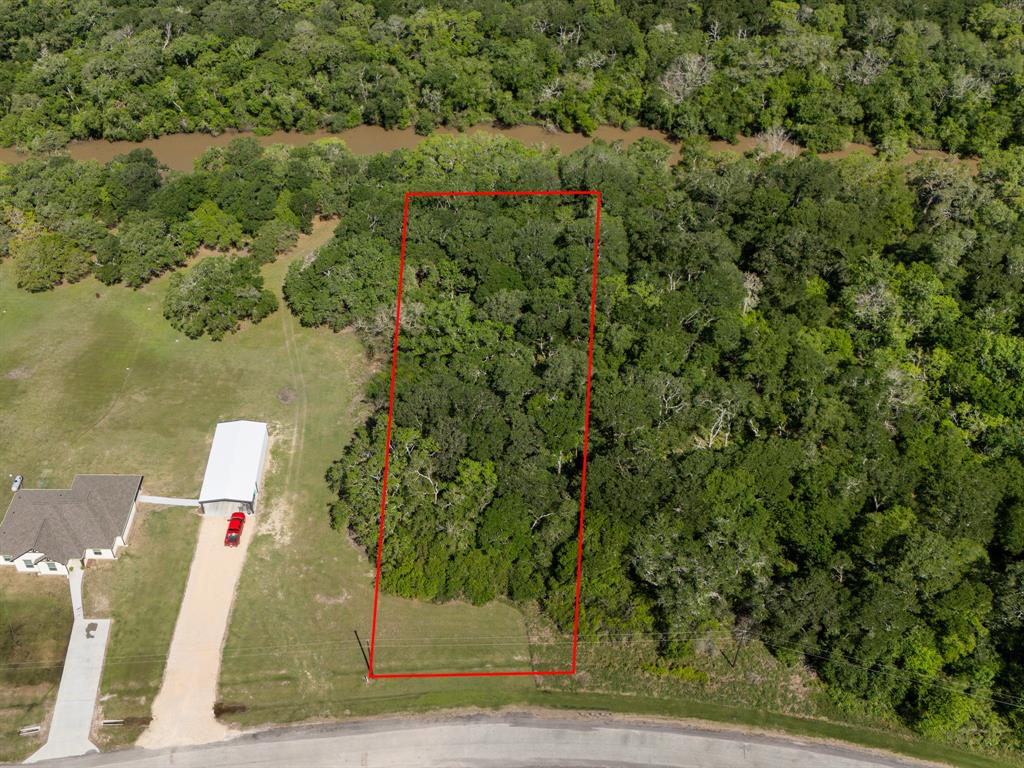 0000 River Hollow Way Way, Blessing, Texas image 1