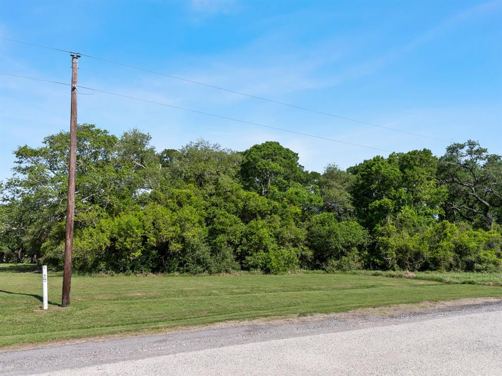 0000 River Hollow Way Way, Blessing, Texas image 14