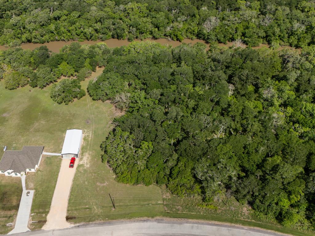 0000 River Hollow Way Way, Blessing, Texas image 3