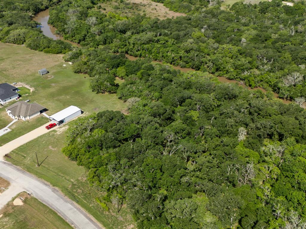 0000 River Hollow Way Way, Blessing, Texas image 4
