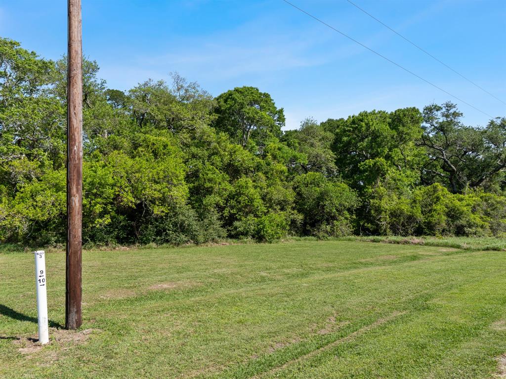 0000 River Hollow Way Way, Blessing, Texas image 13