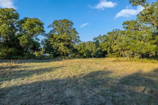 TBD Drake Lane - Lot 25, Round Top, Texas image 3