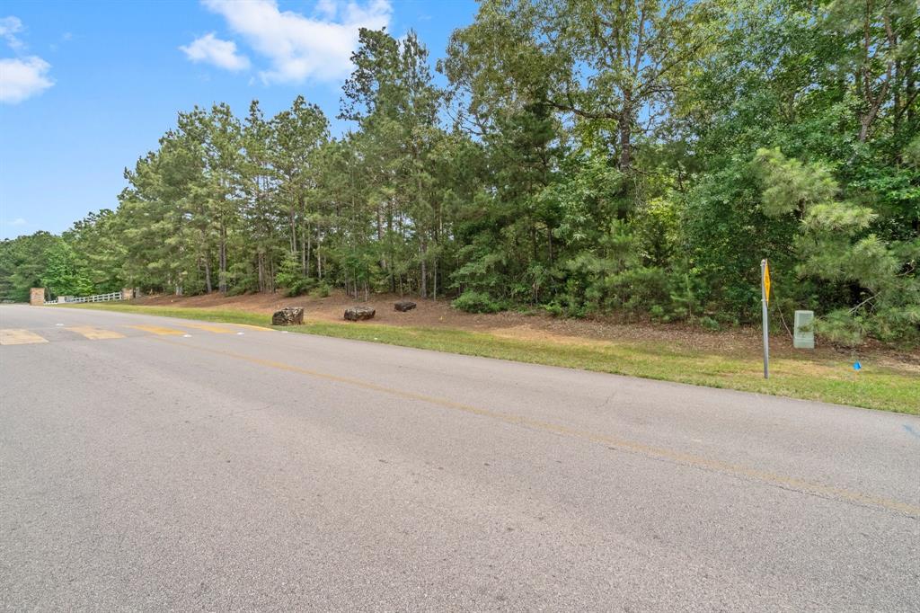 8986 Grand Lake Estates Drive, Montgomery, Texas image 8