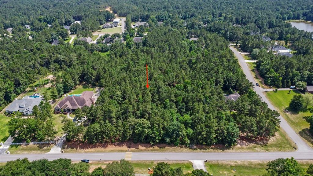 8986 Grand Lake Estates Drive, Montgomery, Texas image 1