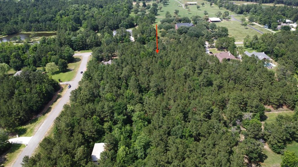 8986 Grand Lake Estates Drive, Montgomery, Texas image 6