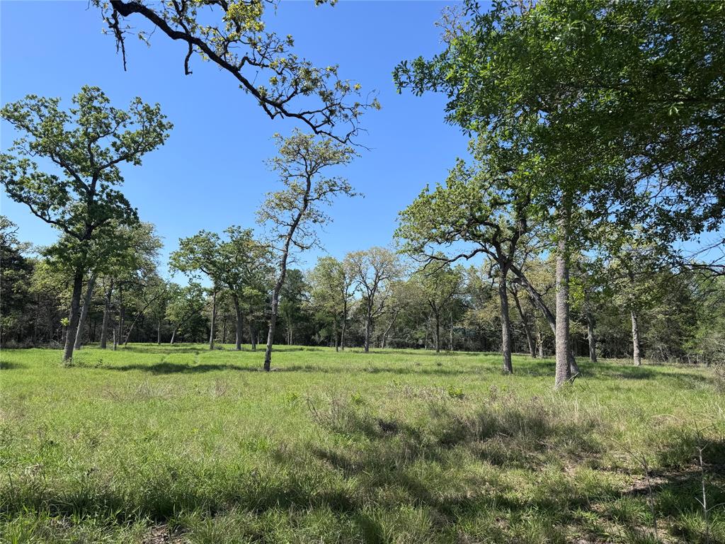 4655 Krischke Rd, Schulenburg, Texas image 5