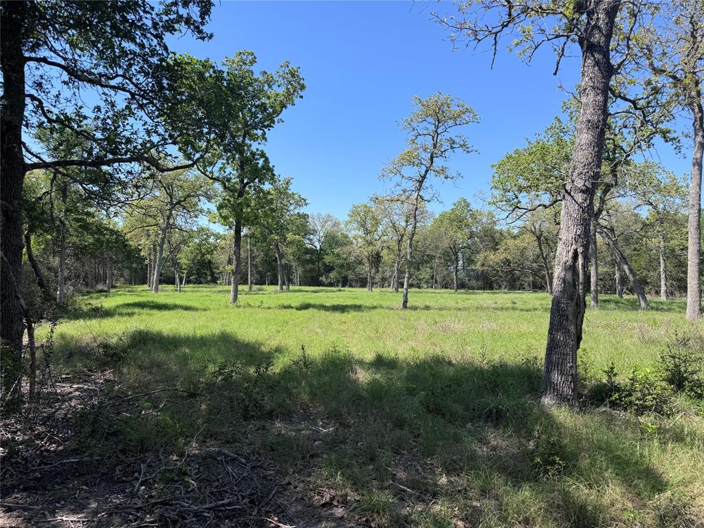 4655 Krischke Rd, Schulenburg, Texas image 6