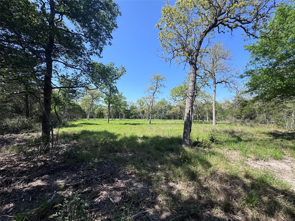 4655 Krischke Rd, Schulenburg, Texas image 9