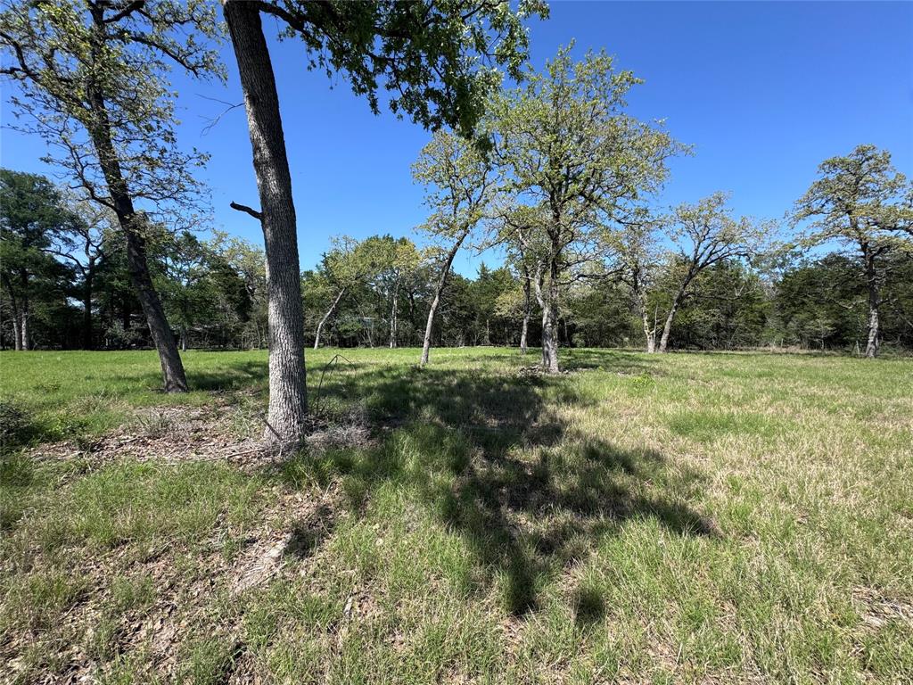 4655 Krischke Rd, Schulenburg, Texas image 13
