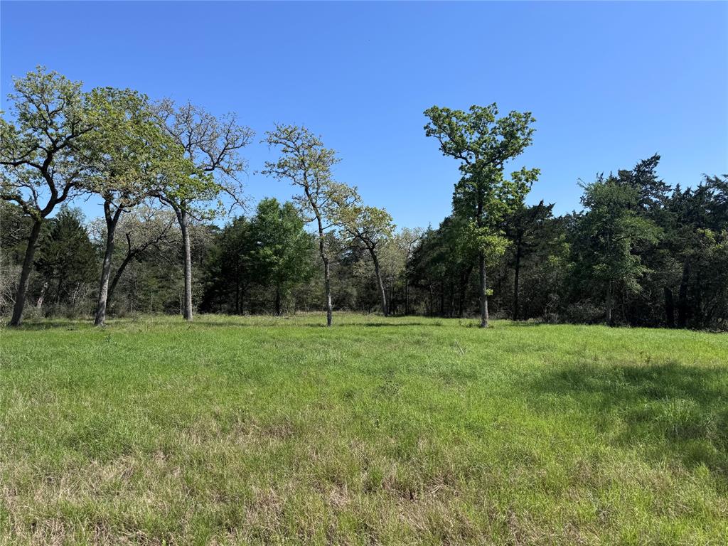 4655 Krischke Rd, Schulenburg, Texas image 10