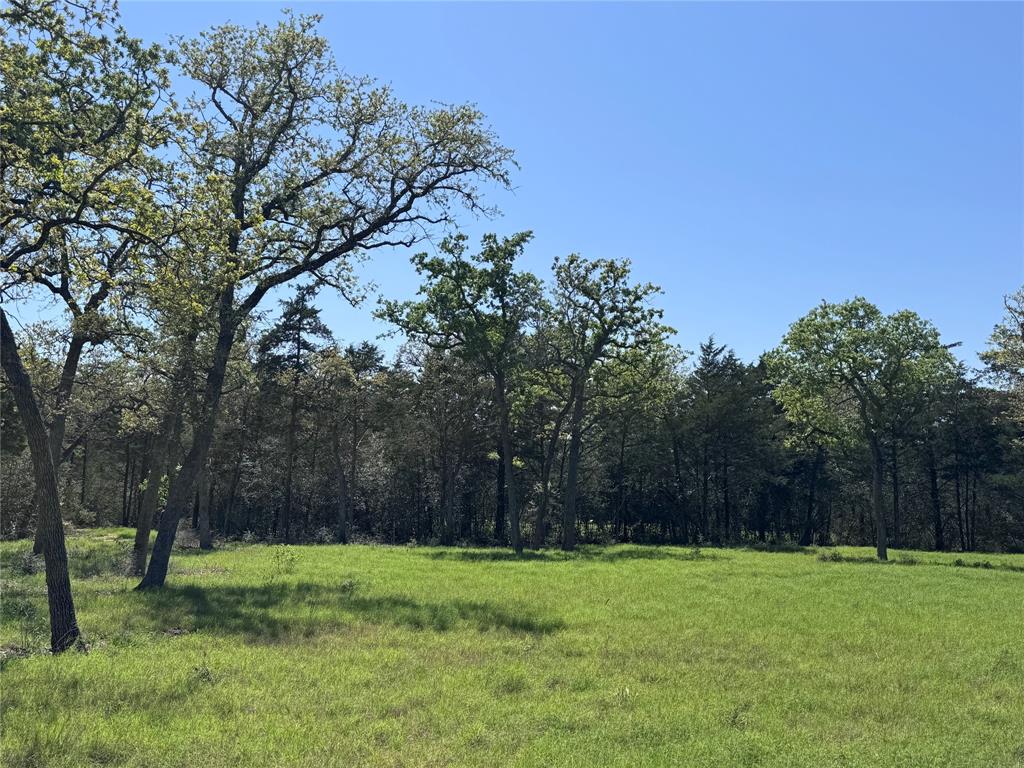 4655 Krischke Rd, Schulenburg, Texas image 2