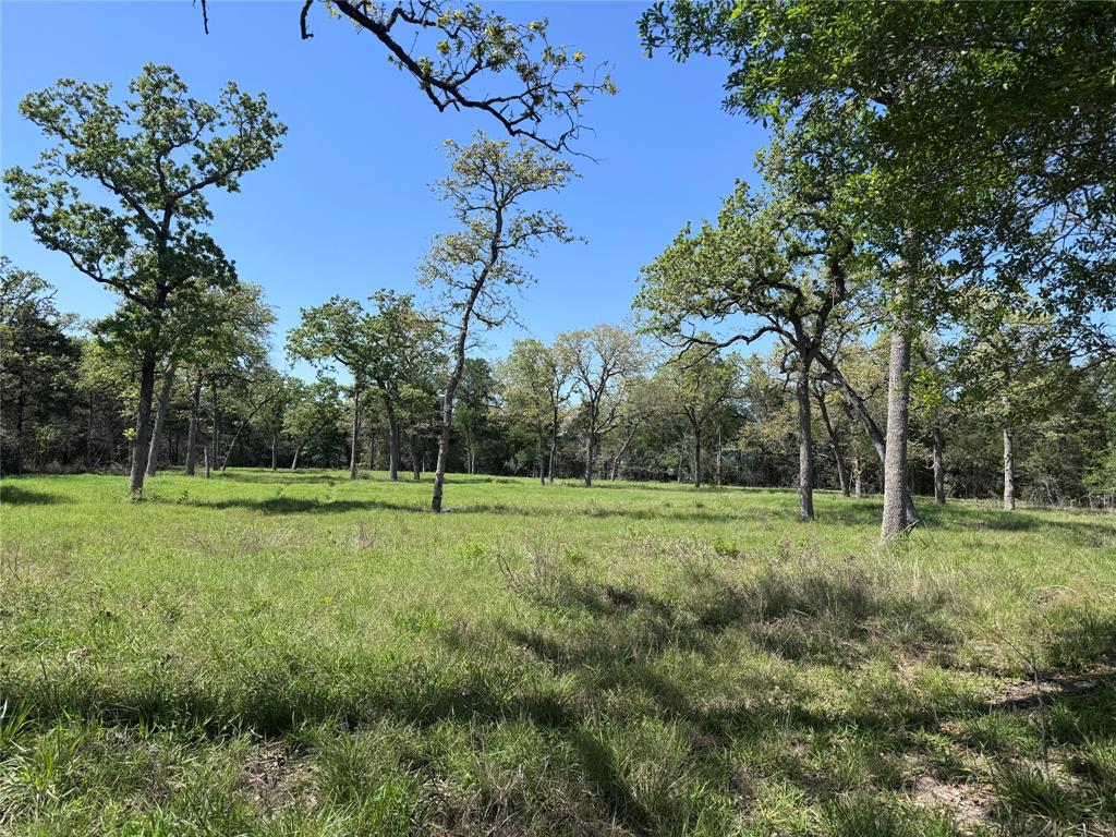 4655 Krischke Rd, Schulenburg, Texas image 8