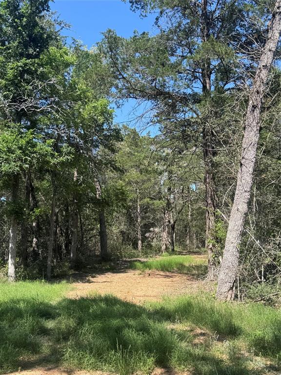 4655 Krischke Rd, Schulenburg, Texas image 18