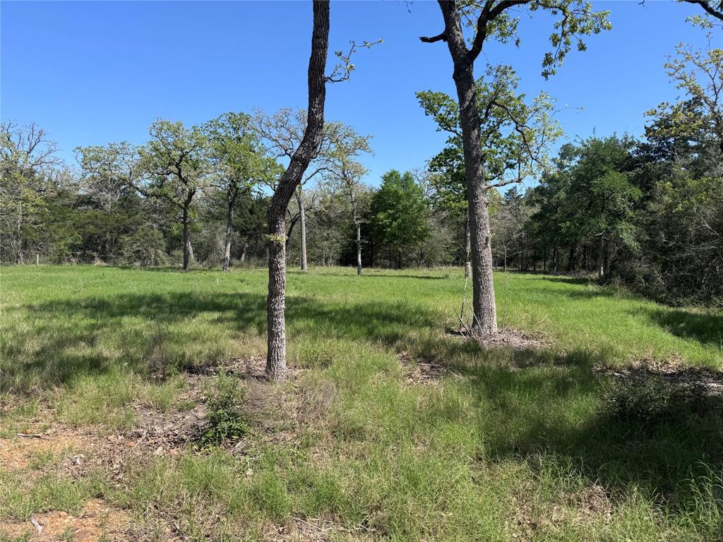 4655 Krischke Rd, Schulenburg, Texas image 12
