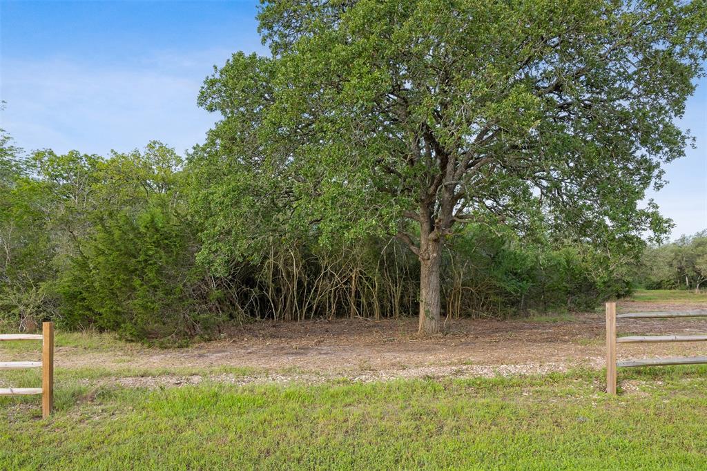 Lot 14&15 Woodland Meadows Lane, La Grange, Texas image 9