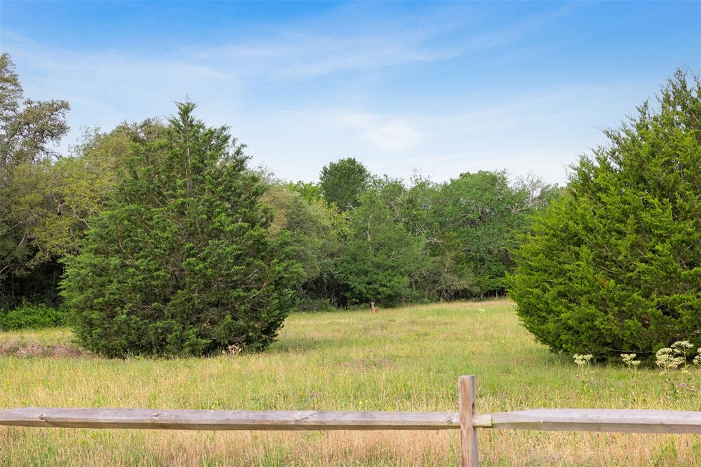 Lot 14&15 Woodland Meadows Lane, La Grange, Texas image 8