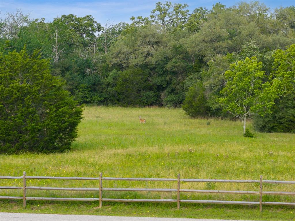 Lot 14&15 Woodland Meadows Lane, La Grange, Texas image 13