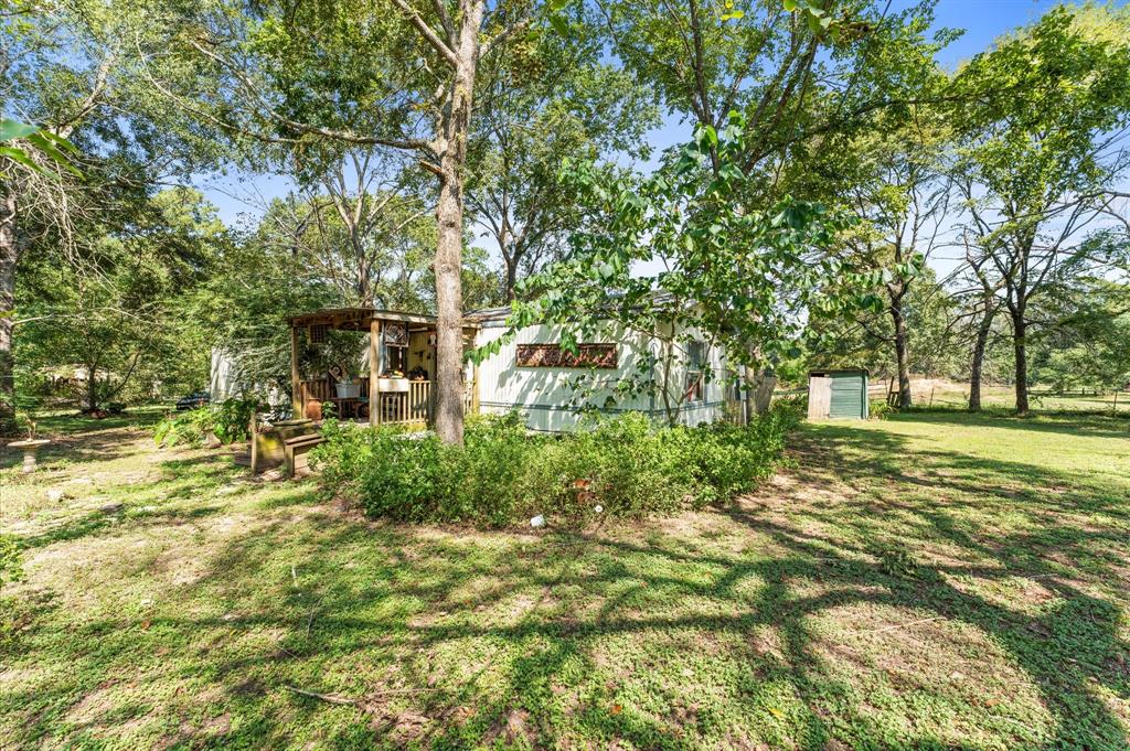 11127 County Road 351, Plantersville, Texas image 10