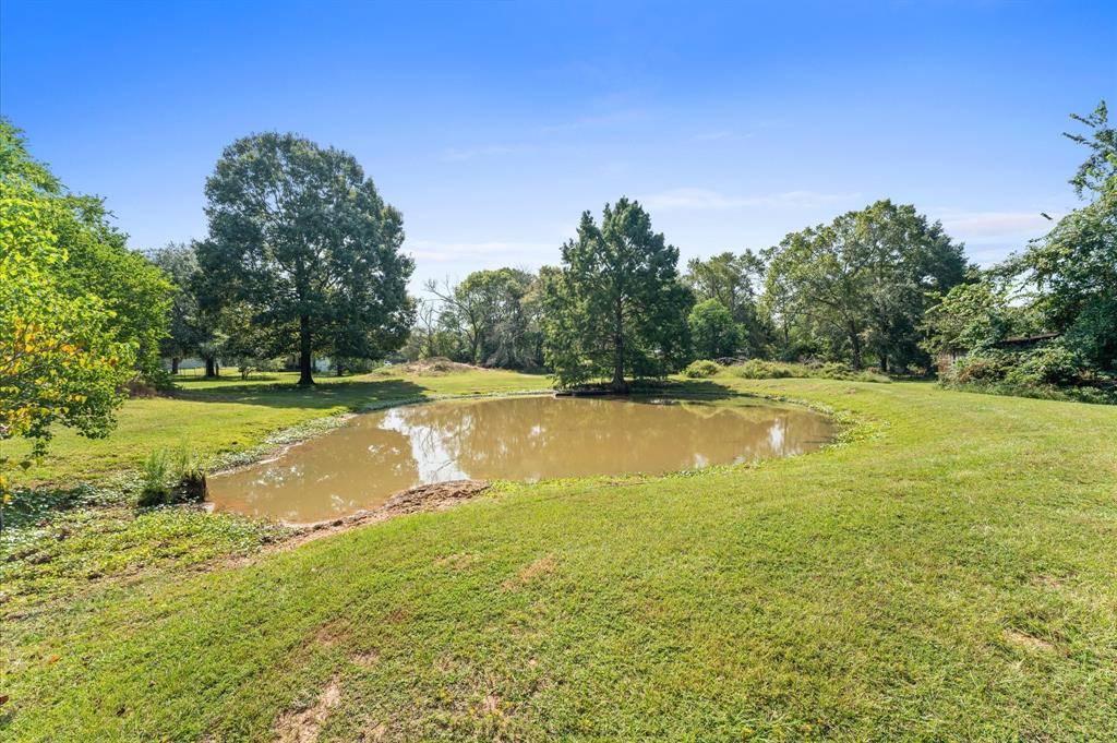 11127 County Road 351, Plantersville, Texas image 8