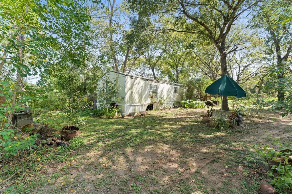 11127 County Road 351, Plantersville, Texas image 9