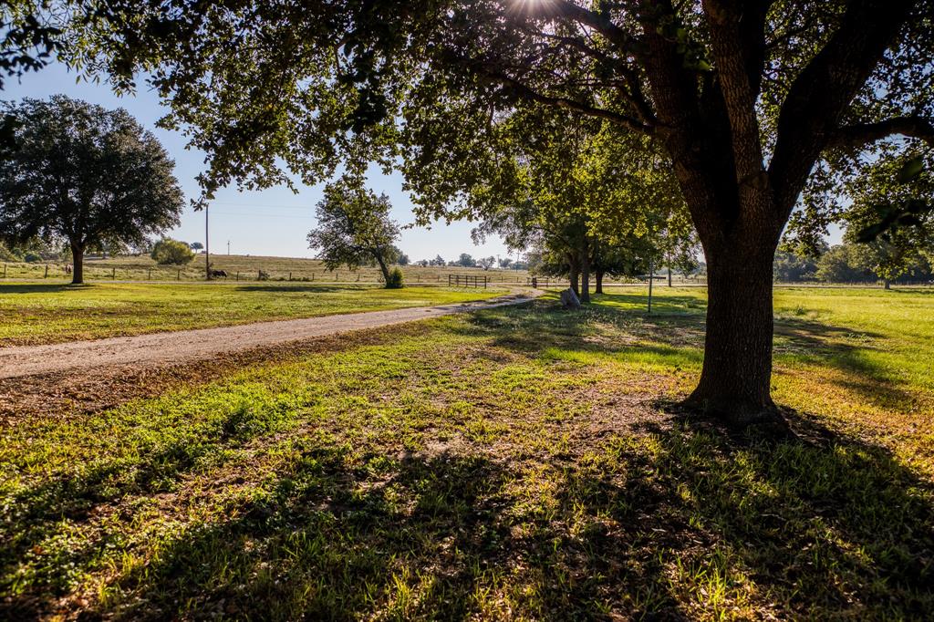 1709 Old Independence Road, Brenham, Texas image 2