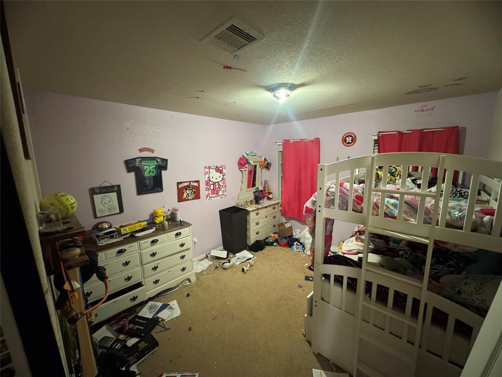 339 Lake Line Drive, Alvin, Texas image 19