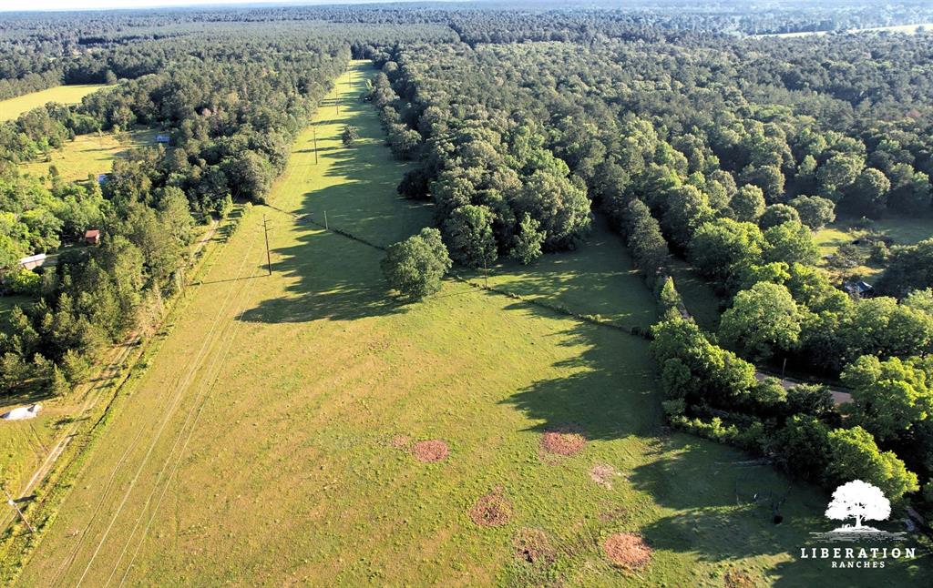 Lot 5 John Warren Road, Coldspring, Texas image 13