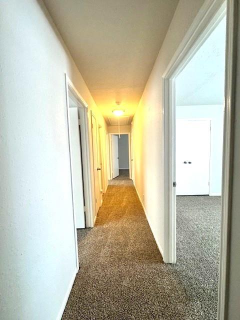 20415 Havens Edge Court, Humble, Texas image 16