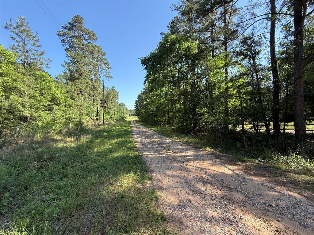 6493 Planters Row Lane, Plantersville, Texas image 10