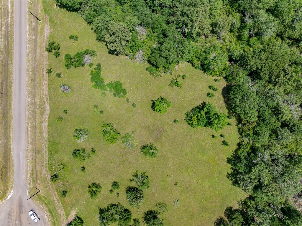 6558 Atakapan Trail, Bedias, Texas image 5