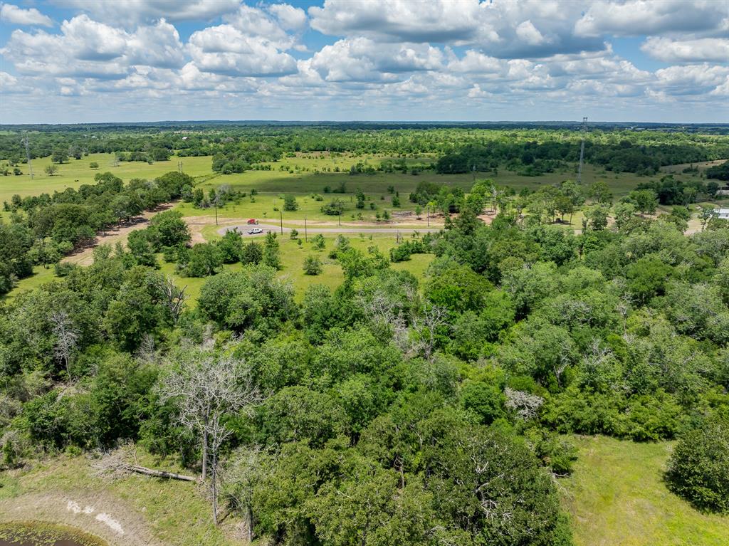 6558 Atakapan Trail, Bedias, Texas image 7
