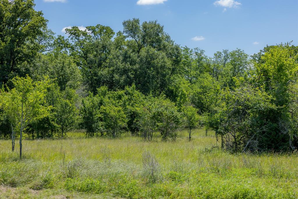 6558 Atakapan Trail, Bedias, Texas image 2