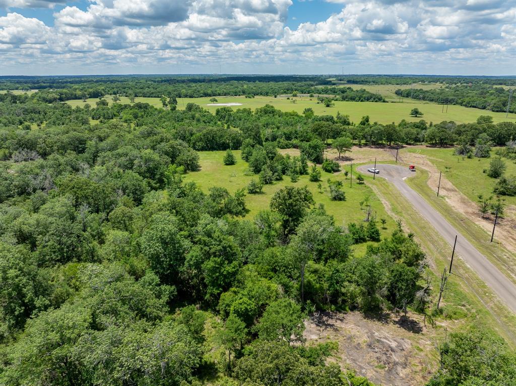 6558 Atakapan Trail, Bedias, Texas image 6