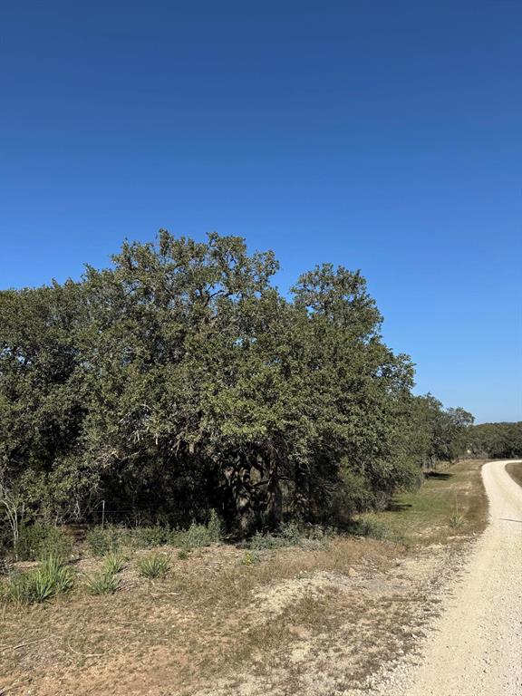 1107 Kahn Drive, Rio Frio, Texas image 6