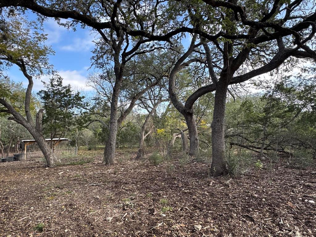 1107 Kahn Drive, Rio Frio, Texas image 11