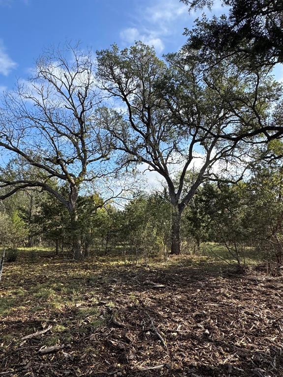 1107 Kahn Drive, Rio Frio, Texas image 10