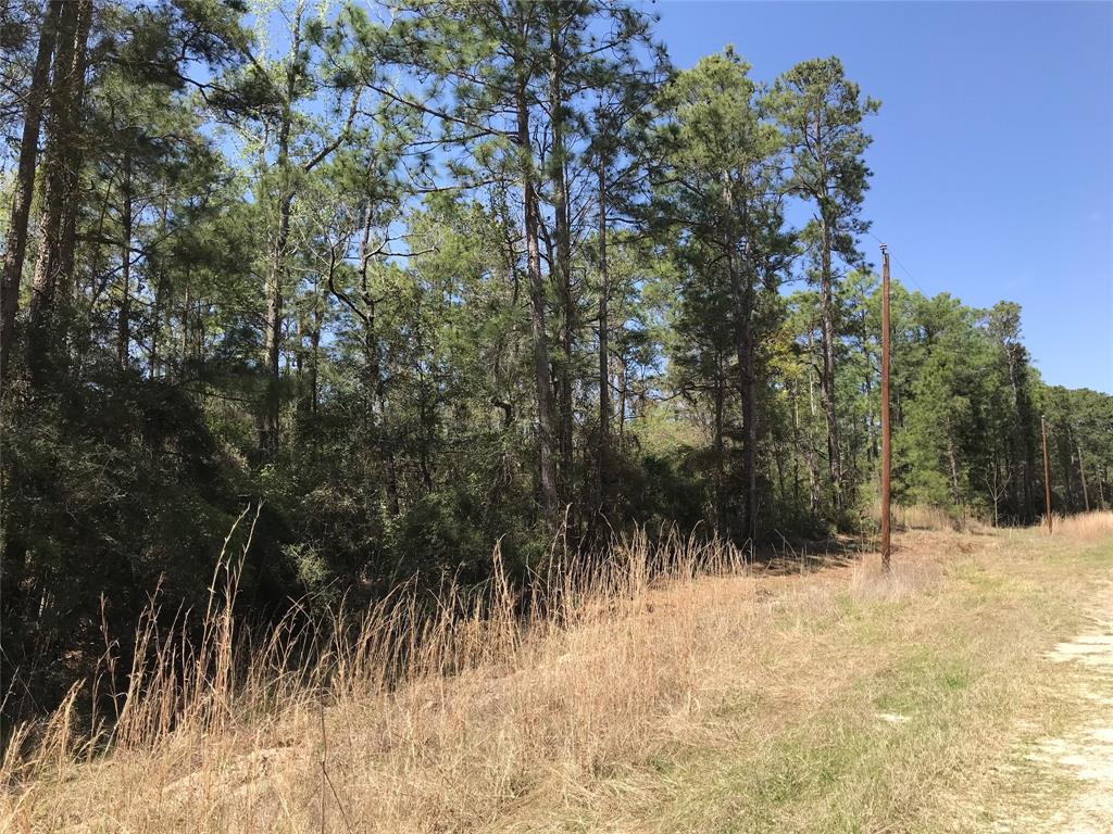 Tbd Lot 29 Parkview Drive, Onalaska, Texas image 1