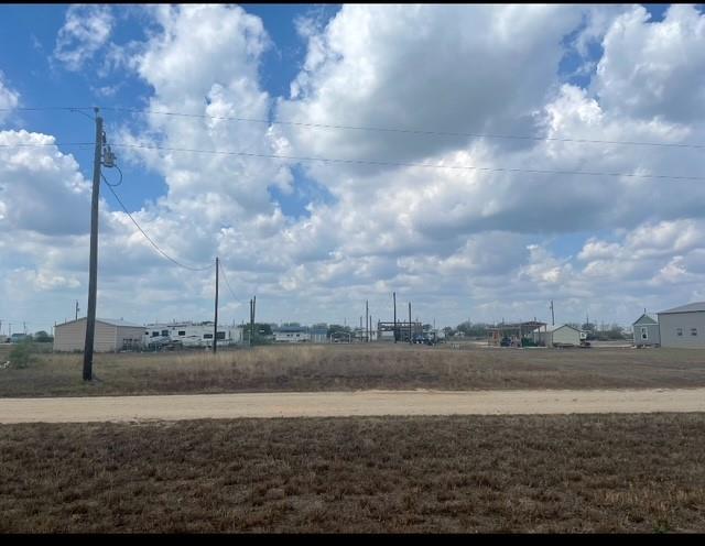 Mullet, Palacios, Texas image 5