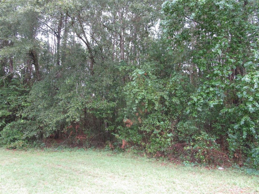 Lot 9 Stevens Forest, New Caney, Texas image 4