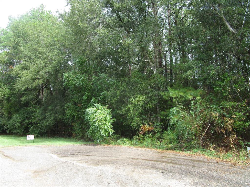 Lot 9 Stevens Forest, New Caney, Texas image 11