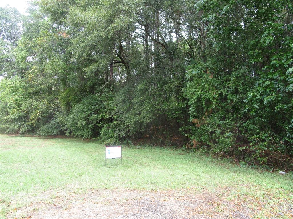 Lot 9 Stevens Forest, New Caney, Texas image 6