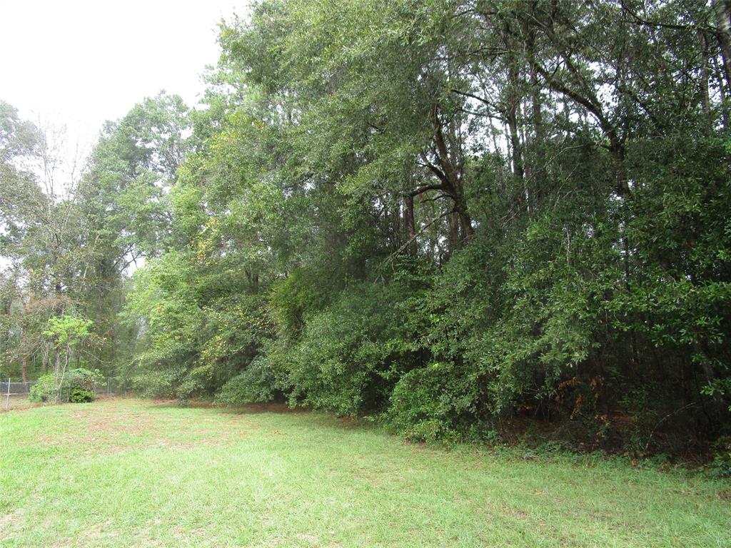 Lot 9 Stevens Forest, New Caney, Texas image 3